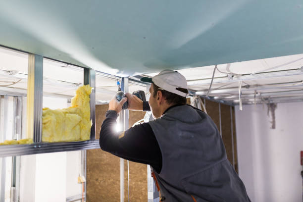 Best Insulation Maintenance and Repair in Camden, SC