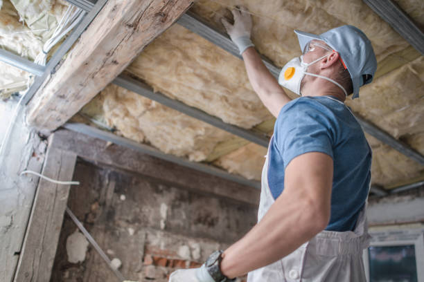 Best Cellulose Insulation in Camden, SC