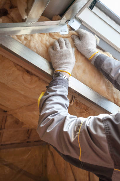 Types of Insulation We Offer in Camden, SC