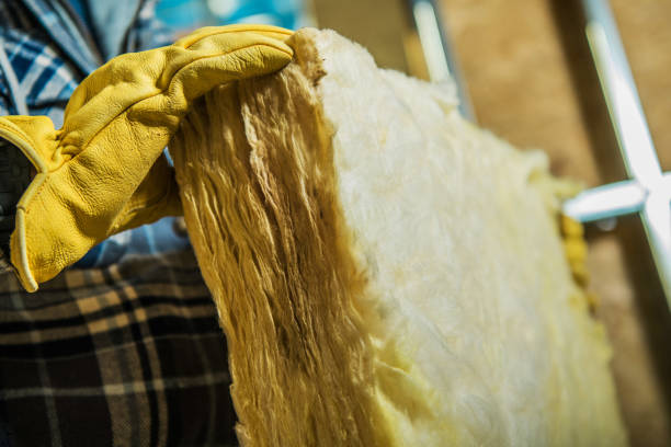 Best Blown-in Insulation in Camden, SC